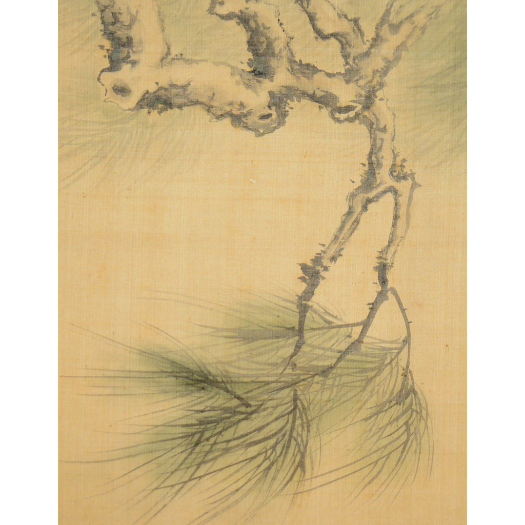 Lot024　鉅鹿民部「松に虎図」