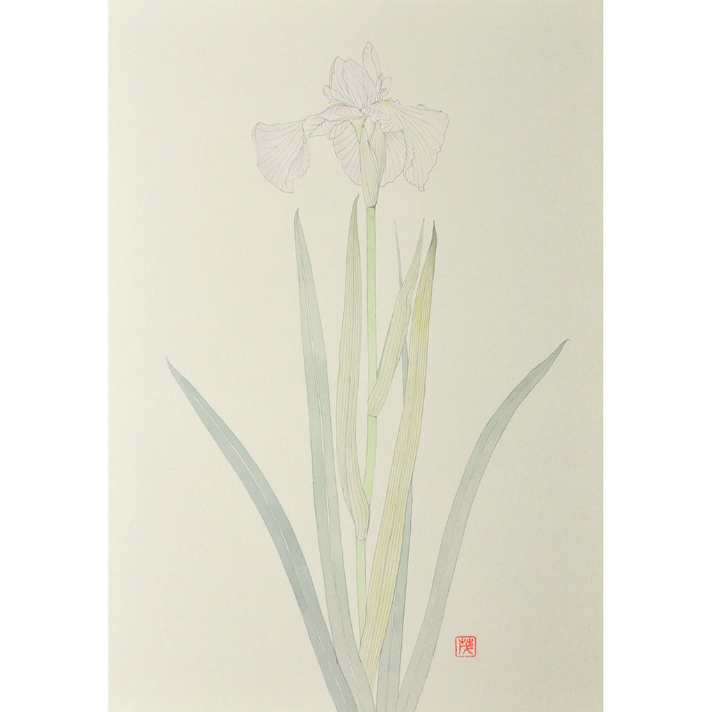 Lot014 Shigeki Murata "Iris"