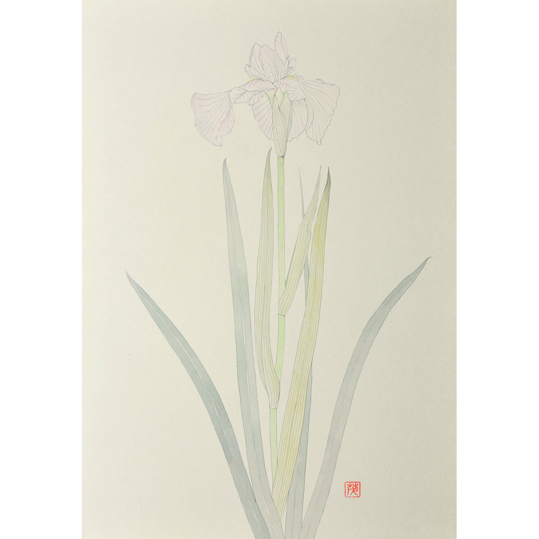 Lot014 Shigeki Murata "Iris"